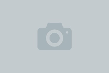 Wie man Fotos von transparenten Blättern macht